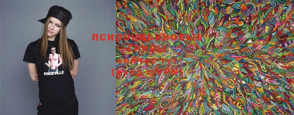 ECSTASY Гусев