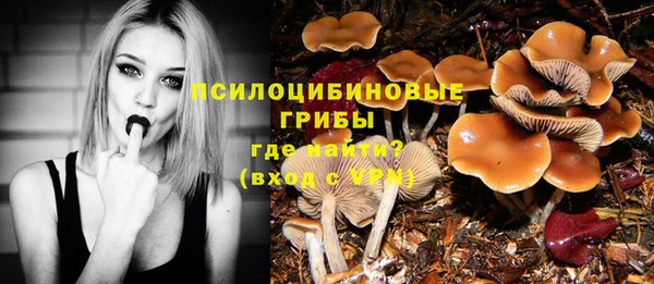 героин Гусь-Хрустальный