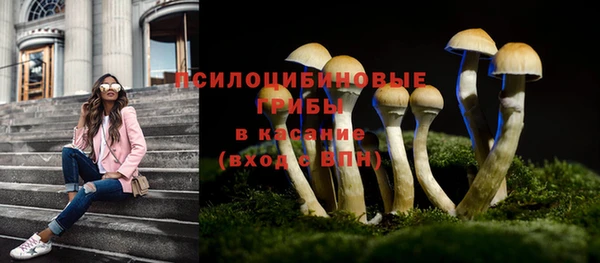 героин Гусь-Хрустальный