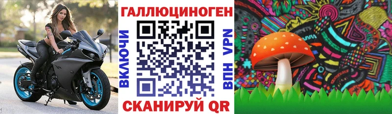 Галлюциногенные грибы Cubensis Ростов-на-Дону
