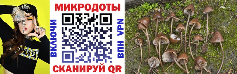 blacksprut зеркало сколько стоит Ростов-на-Дону Псилоцибиновые грибы Psilocybe